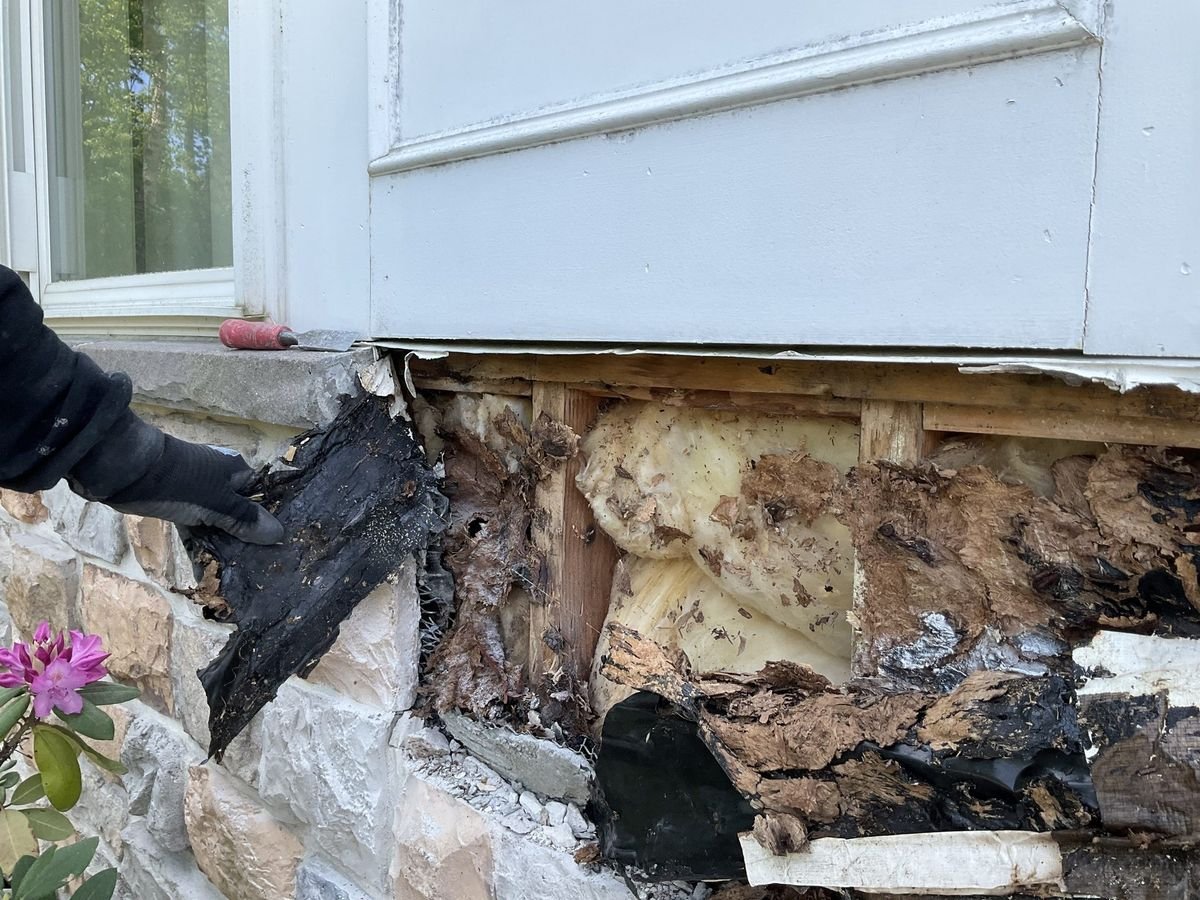 Moisture-damaged wall sheathing and insulation exposed below a window during water intrusion remediation